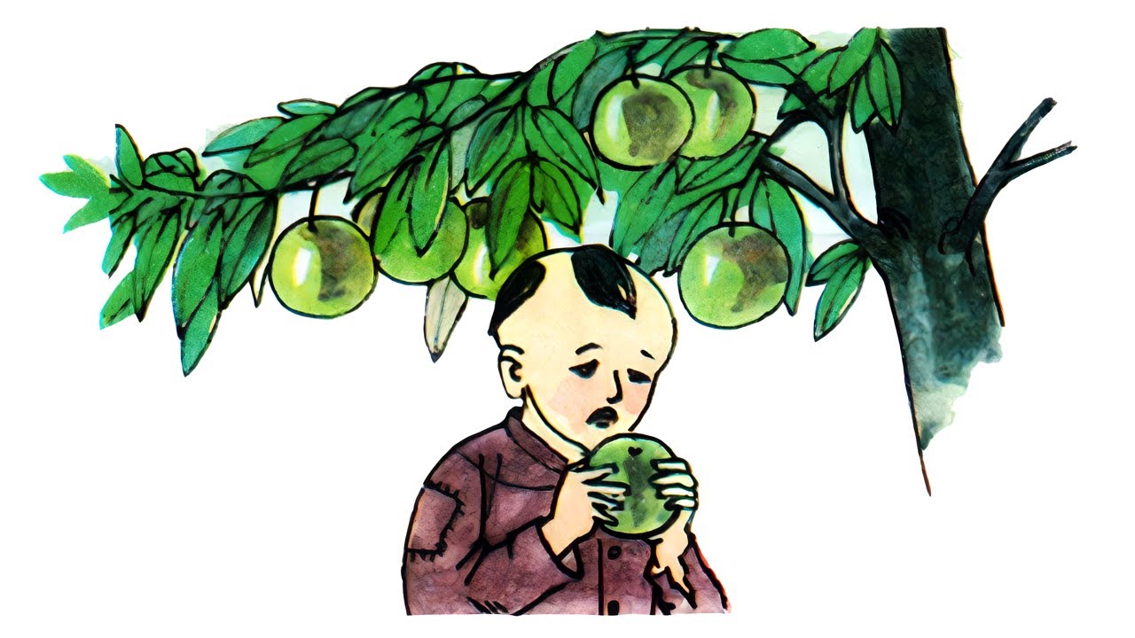 The Legend of the Star Apple Tree