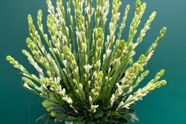 Top 5 flowers men should not give Vietnamese women