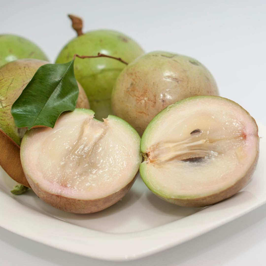 The Legend of the Star Apple Tree